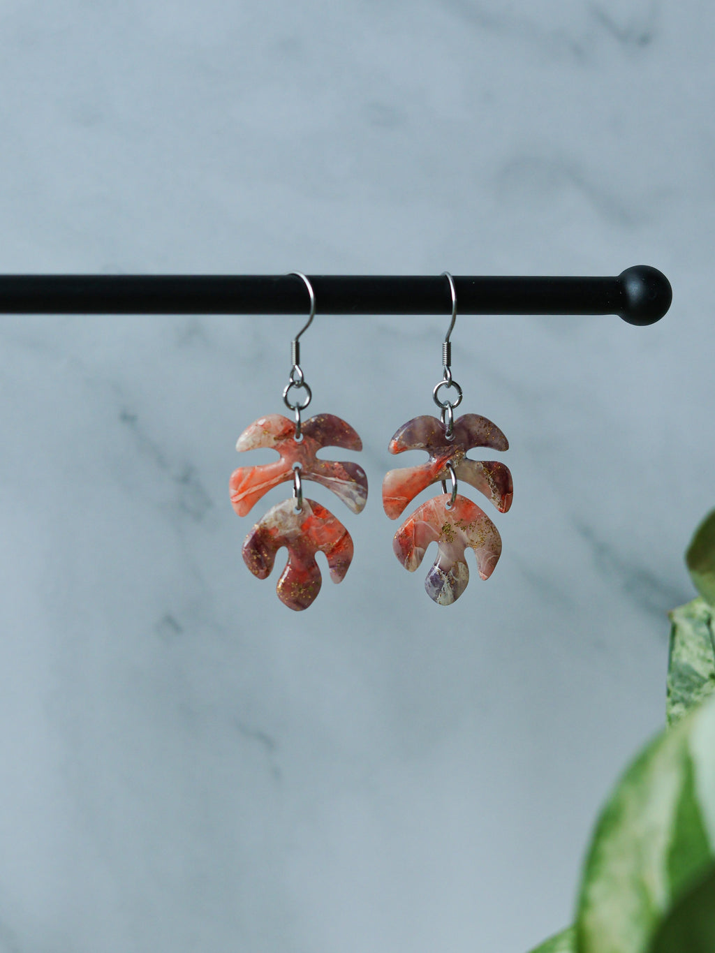 Monstera | korvakorut